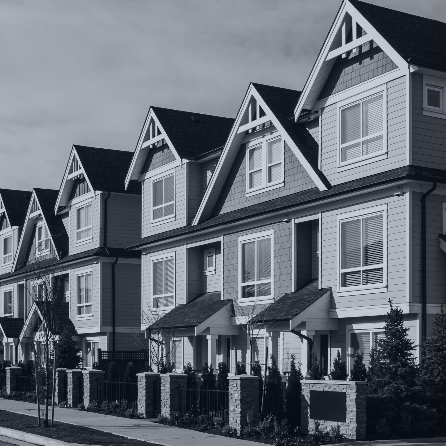 DP Development – Focused On Opportunity